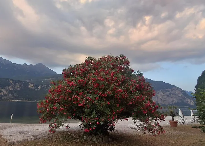 Nautilus 3* ヴァルマドレーラ